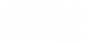 ratacombes